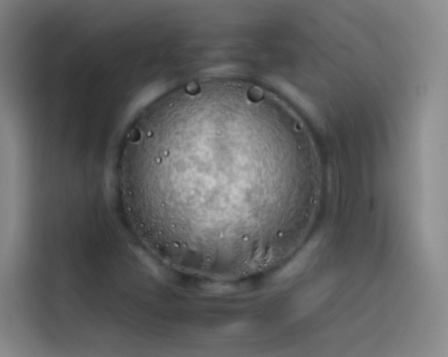 X0000113891405200910011313