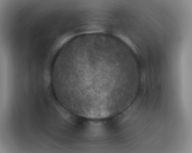 X0000113891407200910011313