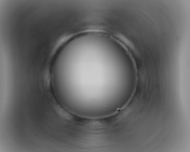 X0000113891408200910011313