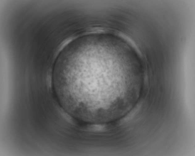 X0000113891409200910011313