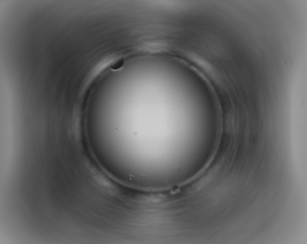 X0000113891410200910011313