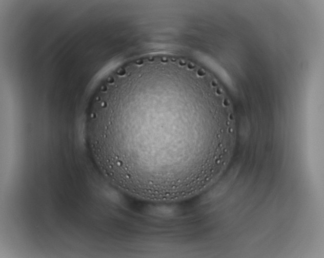 X0000113891411200910011313