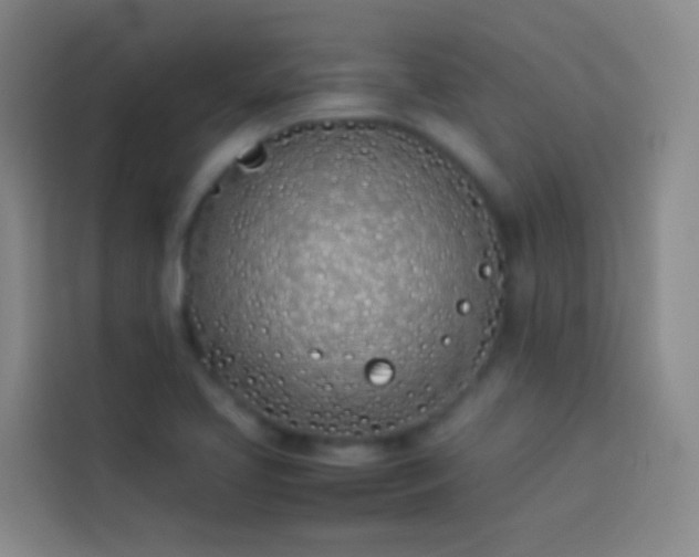 X0000113891413200910011313