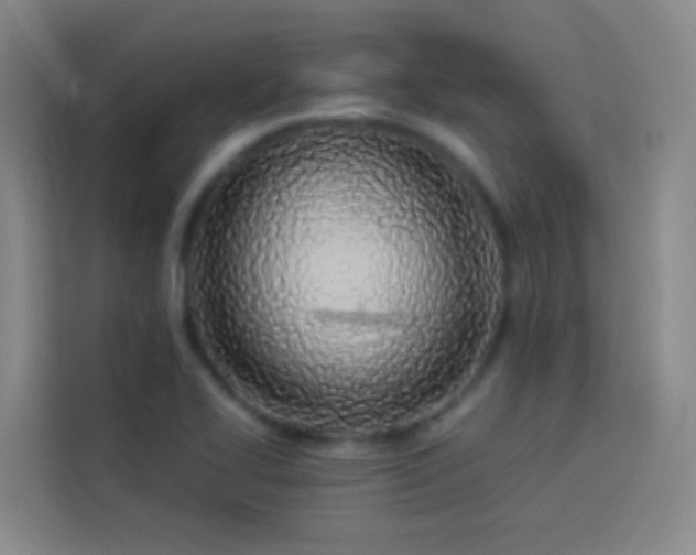 X0000113891414200910011313