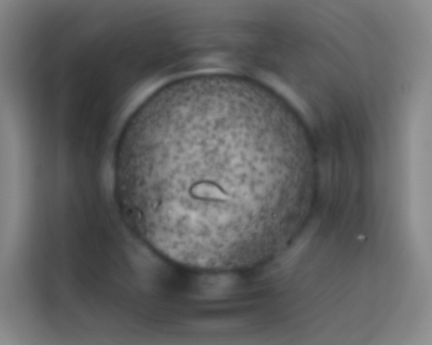 X0000113891415200910011313