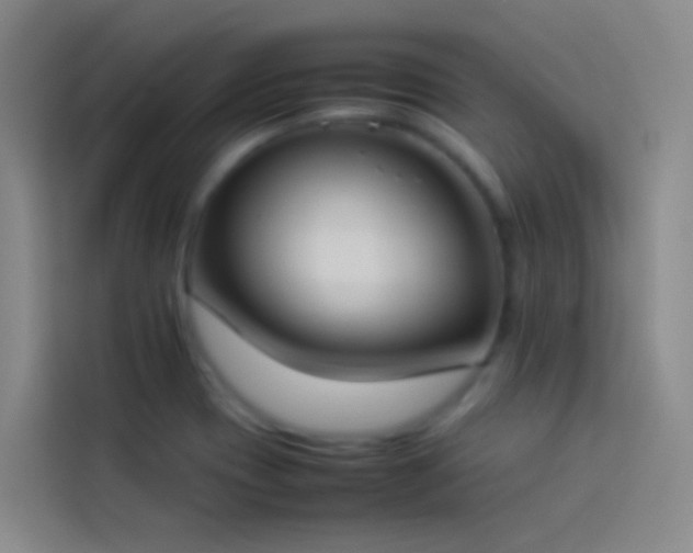 X0000113891417200910011313