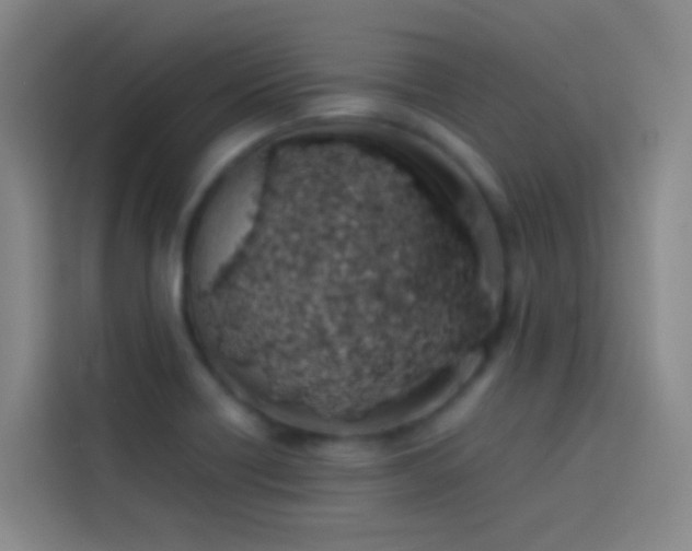 X0000113891418200910011313