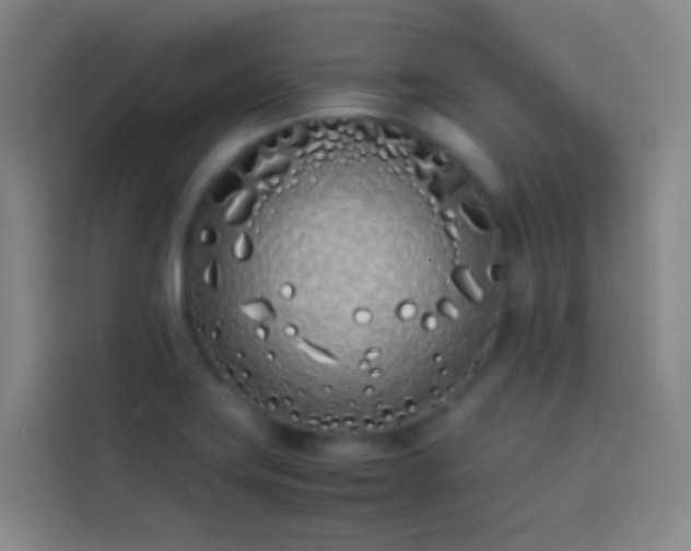 X0000113891419200910011313