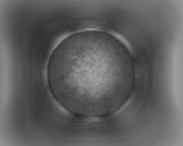 X0000113891423200910011313