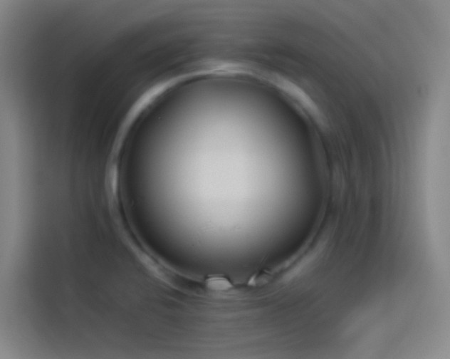 X0000113891424200910011313