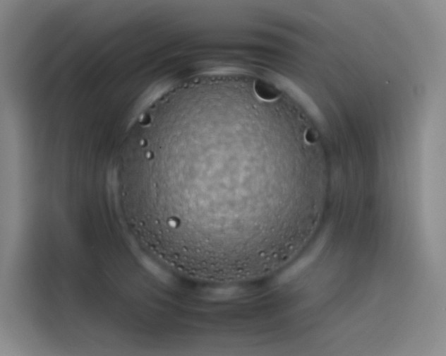 X0000113891425200910011313