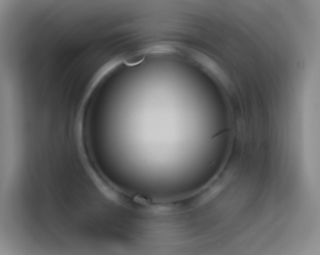 X0000113891426200910011314