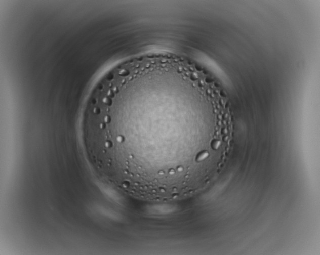 X0000113891427200910011314