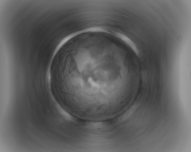 X0000113891428200910011314