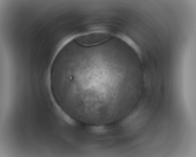 X0000113891431200910011314