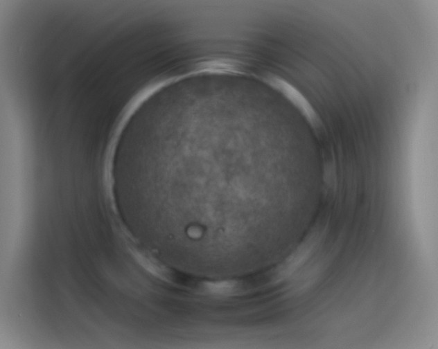 X0000113891435200910011314