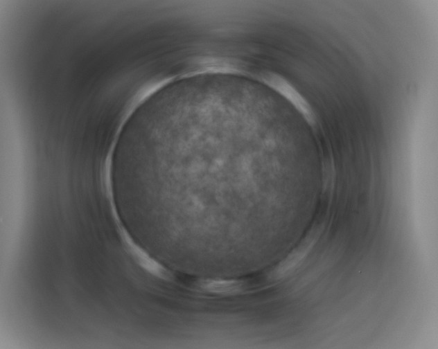 X0000113891439200910011314