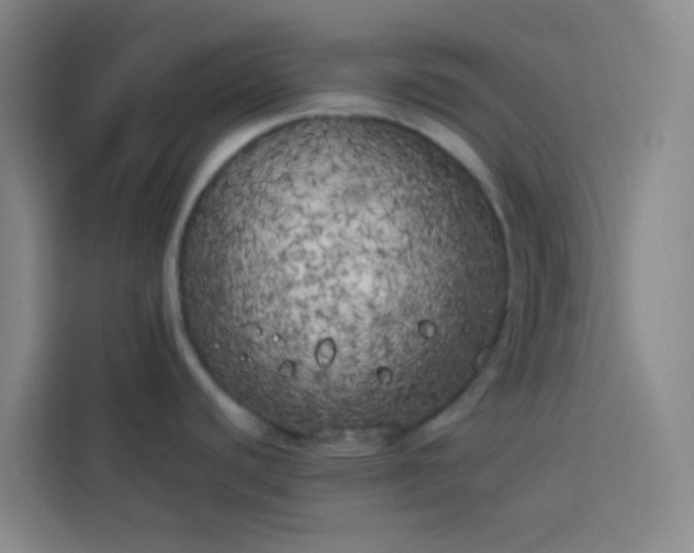 X0000113891440200910011314