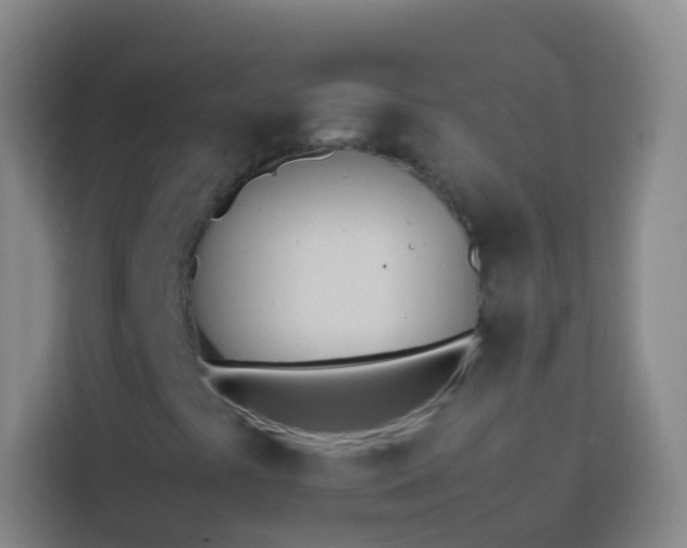 X0000113891441200910011313