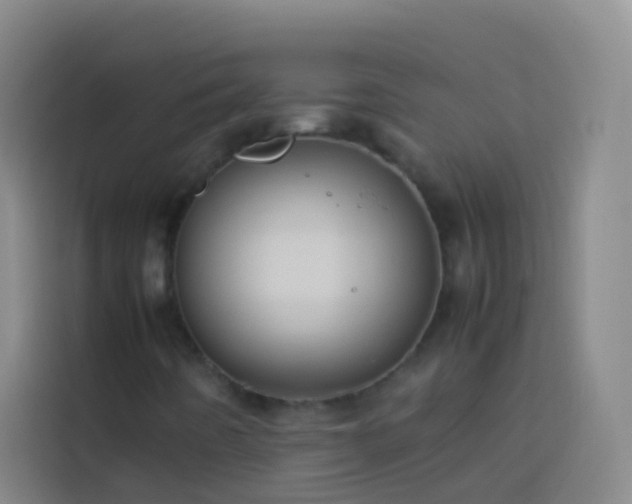 X0000113891442200910011313