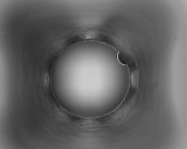 X0000113891443200910011313