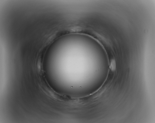 X0000113891444200910011313