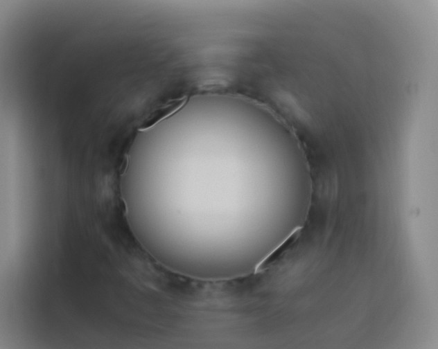 X0000113891445200910011313