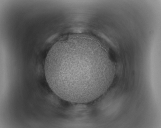 X0000113891446200910011313