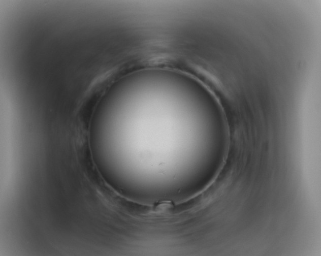 X0000113891447200910011313