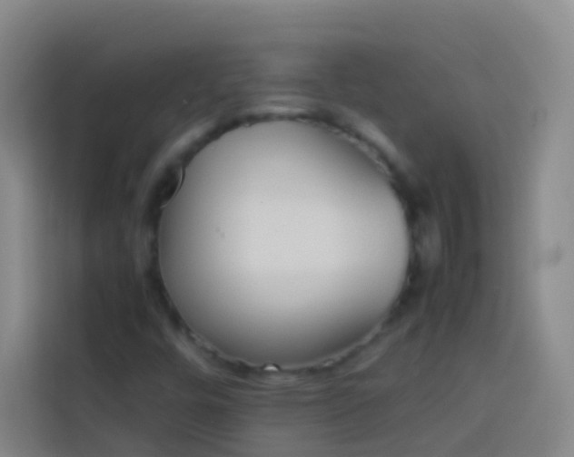 X0000113891448200910011313