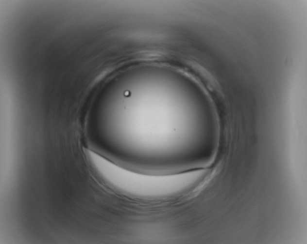 X0000113891449200910011313