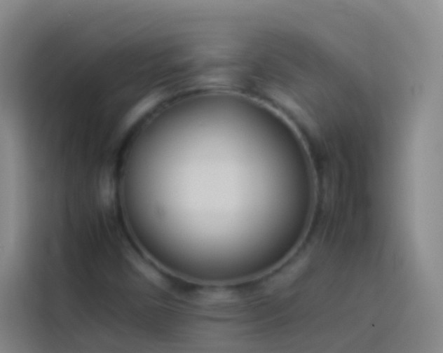 X0000113891450200910011313