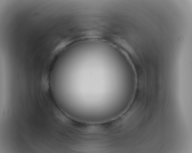 X0000113891451200910011313