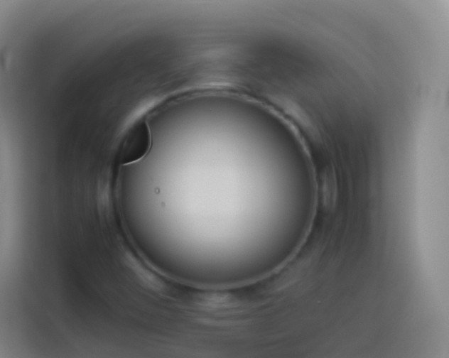 X0000113891452200910011313