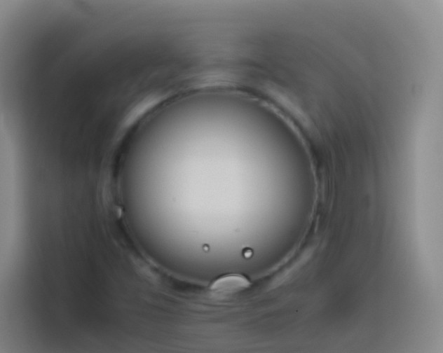 X0000113891453200910011313