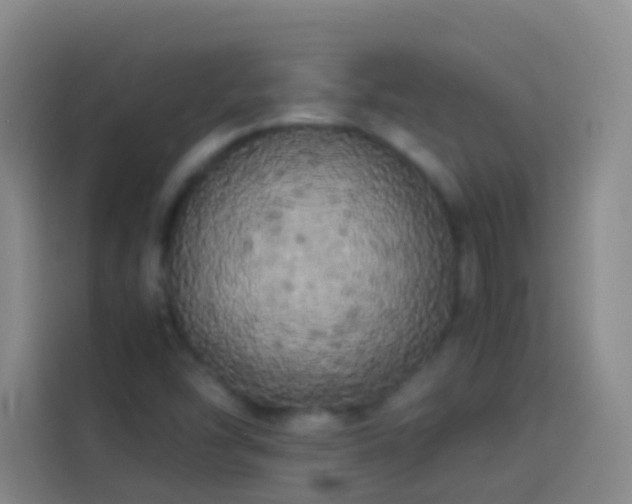 X0000113891454200910011313