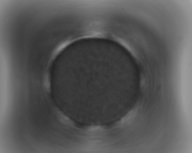 X0000113891455200910011313