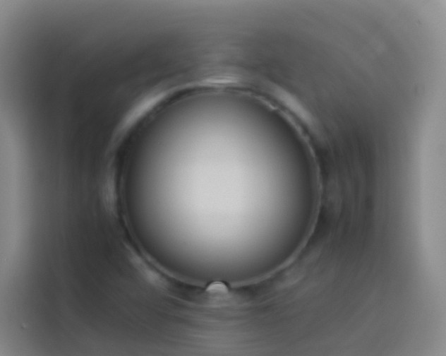 X0000113891456200910011313