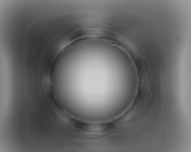 X0000113891457200910011313