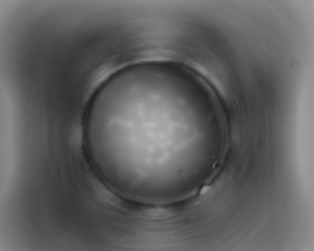 X0000113891459200910011313