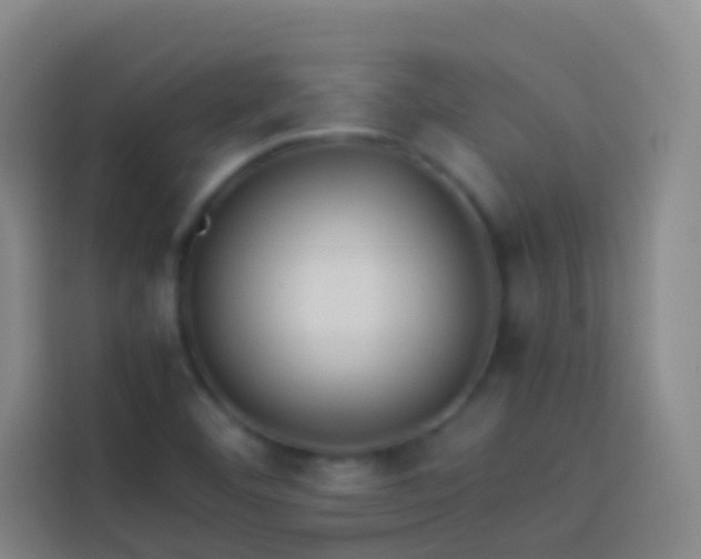 X0000113891460200910011313