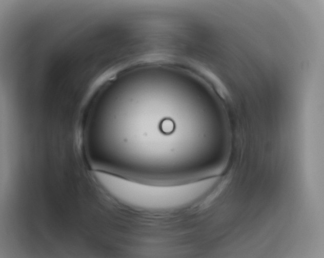 X0000113891461200910011313