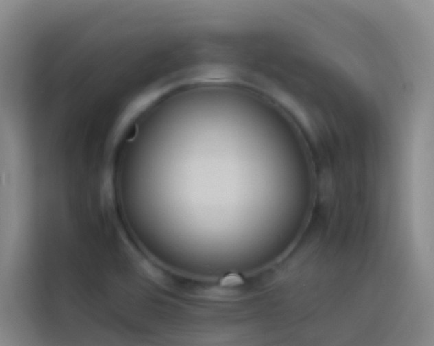 X0000113891464200910011313