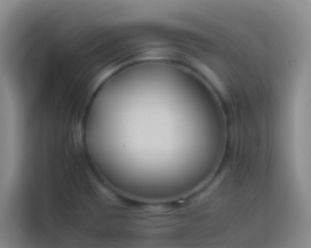 X0000113891465200910011313