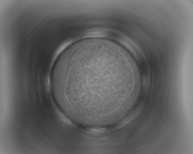 X0000113891466200910011313