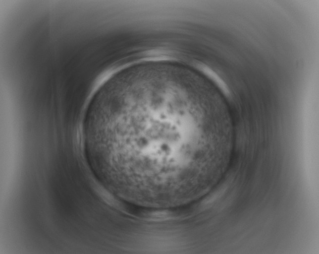 X0000113891467200910011313