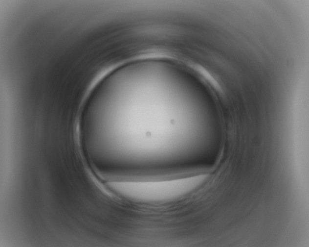 X0000113891468200910011313