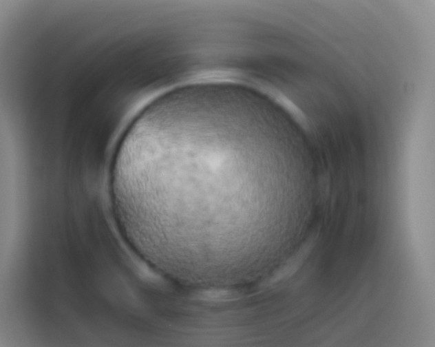 X0000113891470200910011313