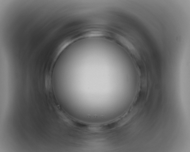 X0000113891473200910011313