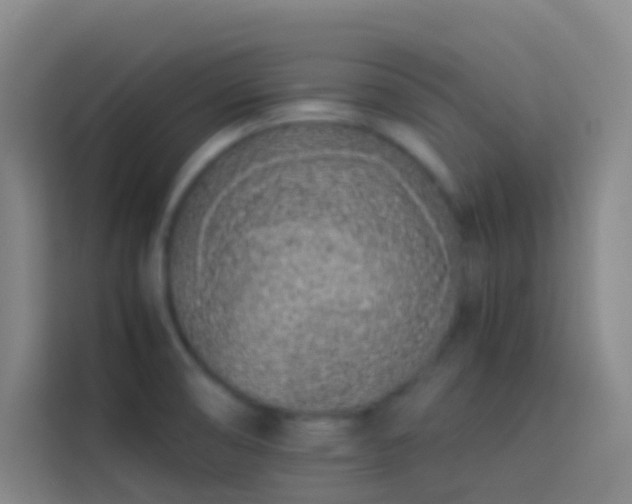 X0000113891474200910011313